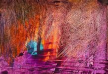 Il collettivo cchiùArt celebra dieci anni di ricerca artistica